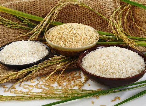 تصویر 3 از خرید و قیمت برنج طارم هاشمی اعلا + فروش صادراتی